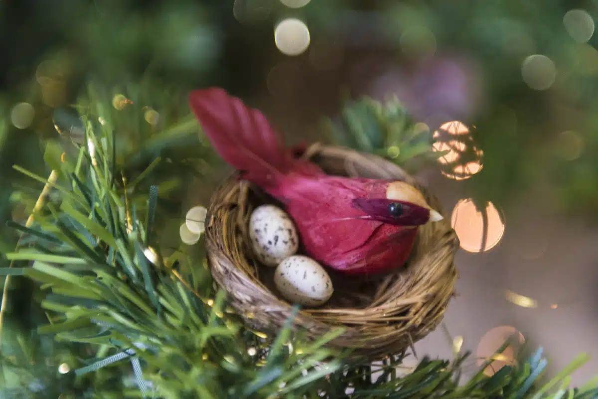 Birdnesting Christmas