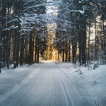 winter activities for kids