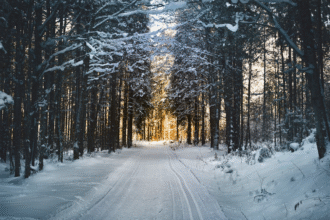 winter activities for kids
