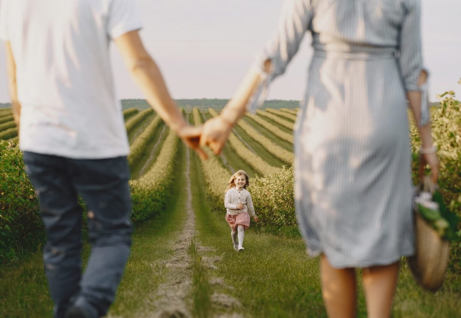 What to Know Before Choosing Co Parenting With A Narcissist - Blog - divorce guidance and family law support